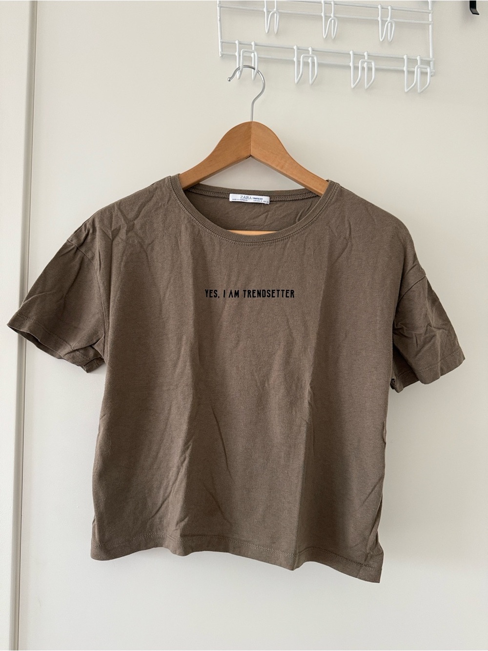 Zara Light Brown Crop Tee